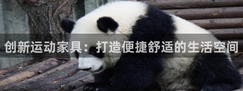 usdt地址在哪里看：创新运动家具：打造便捷舒适的生