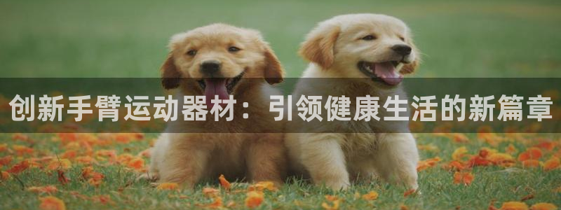 usdt钱包类型